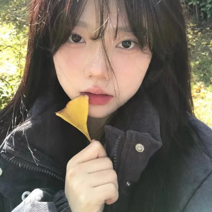 东北往事之大时代